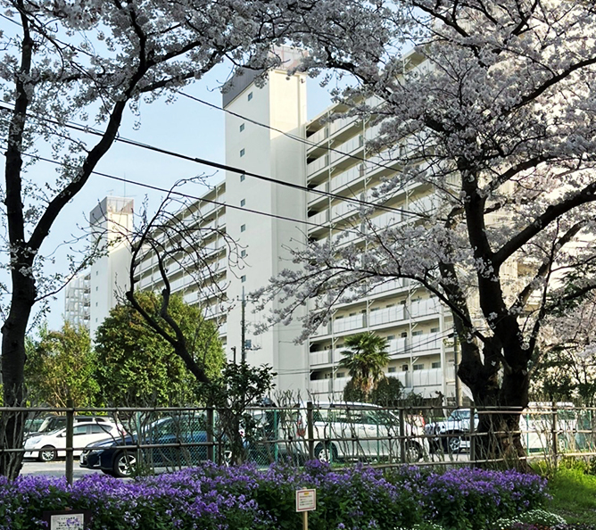 江戸川区社宅